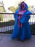 Fairy Godmother Cinderella Costume Adult Plus Size Custom Made 1 small