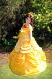 Belle Parade Version Adult Costume Beauty And The Beast Gown - Full Package 1 small