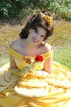Belle Parade Version Adult Costume Beauty And The Beast Gown - Full Package 2 small