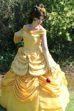 Belle Parade Version Adult Costume Beauty And The Beast Gown - Full Package 4 small