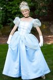 Prince Charming And Cinderella Couples Costume Adult 3 small
