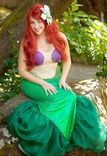 Ariel Version F With Fabric Shells Costume Adult 1 small