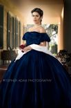 Scarlett O Hara Gone With The Wind Blue Velvet Portrait Gown Dress Costume Adult 1 small