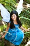 Silvermist Tinkerbell Fairy Friend Adult Costume (A) 2 small