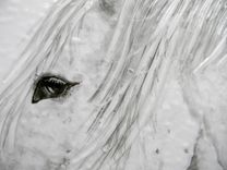 Fused Glass Horses Wall Art Trio 4 small
