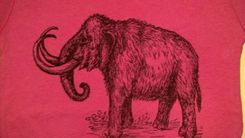 Sale Woolly Mammoth Screen Printed T Shirt, Black Ink On Pink Shirt, Child's 18 Month 2 small