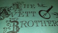 The Avett Brothers Shirt, Small Or Large Green Screen Printed T Shirt, Ready To Ship 3 small