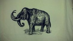 Woolly Mammoth Screen Printed T Shirt, Black Ink On Neon Yellow Shirt 2 small