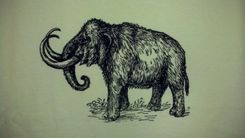 Woolly Mammoth Screen Printed T Shirt, Black Ink On Neon Yellow Shirt 3 small