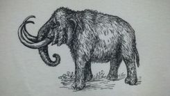 Woolly Mammoth Screen Printed T Shirt, Black Ink White And Red Baseball Shirt 4 small