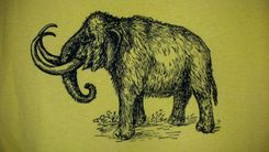Sale Woolly Mammoth Screen Printed T Shirt, Black Ink On Yellow Shirt 5 small