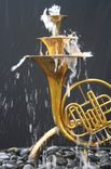 French Horn - 1 Fountain Summer Sale 2 small
