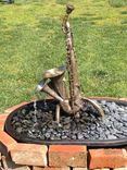 Saxahorn Fountain 4 small