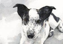 Custom Dog Watercolor Portrait 5x7 1 small