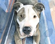 Pitbull Dog Custom Watercolor Portrait 1 small