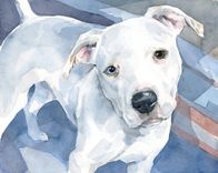 Pitbull Dog Custom Watercolor Portrait 2 small