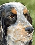 5x7 Custom Pet Watercolor 2 small