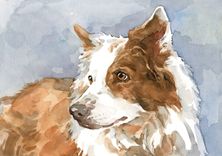 5x7 Custom Pet Watercolor 1 small