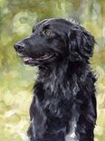 5x7 Custom Pet Watercolor 3 small