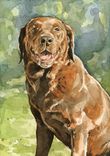 5x7 Custom Pet Watercolor 4 small