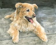 8x10 Custom Pet Watercolor 2 small