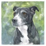 11x14 Custom Pet Portrait 2 small