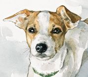 Custom Dog Portrait - 5x7 - Plain Background 1 small