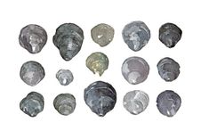 Sea Shells Watercolor Painting 2 small