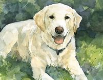 Lab Dog Custom Portrait, Watercolor, Labrador Retriever 4 small