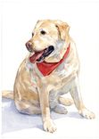 Lab Dog Custom Portrait, Watercolor, Labrador Retriever 6 small