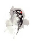 Original Bird Watercolor Painting 1 small