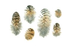 Feathers Watercolor Painting 4 small