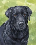 11x14 Custom Pet Portrait 6 small