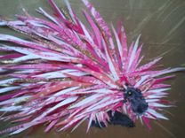 Prickly Pink Porcupine Limited Edition Print 1 small