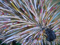 Prickly Porcupine Limited Edition Print 2 small