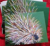 Assorted Animal Collage Notecard Set 2 small