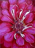 Fuchsia Zinnia Closeup Notecard Set 2 small