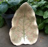 Huge Ceramic Leaf Bowl Sculpture From Real Leaf With Watercolor Glaze By Faith Ann Of Fao 1 small