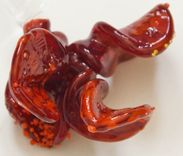 Abstract Flower Drink Stirrer 1 small