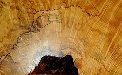 Kitchen Island And Attached Table 1 small