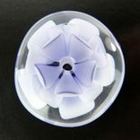 Ink Lotus Bead Button Handmade Lampwork Glass By Gemfox Sra Usa 1 small