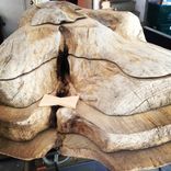 Butternut Driftwood Slab Coffee And Side Tables 5 small