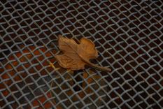 Custom Steel Fire Pit 2 small