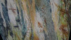 Exotic Stone Tops For End Or Coffee Tables 1 small