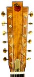 "Snake Motif" 12-String Resonator Guitar In Cherry 9 small