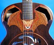 Bat Out Of Hell 12 String Resonator Guitar 2 small