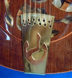 Bat Out Of Hell 12 String Resonator Guitar 3 small