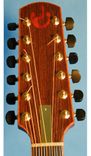 Bat Out Of Hell 12 String Resonator Guitar 4 small
