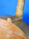 "Art Gecko" Archtop Guitar 5 small