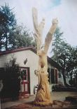 Wood/Tree Sculpture 1 small